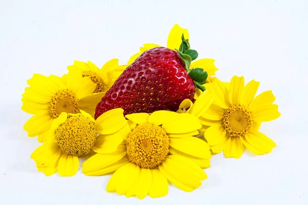 Aardbeien Met Gele Bloem Een Mand Van Bladeren Geïsoleerd Wit — Stockfoto