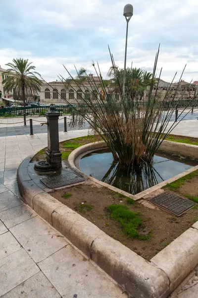 Fontana Piazza Decorata Stile Mediterraneo Con Canne Erbe Alte Una — Foto Stock