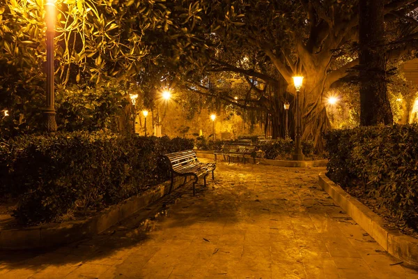 Straßenlaternen Und Fußweg Durch Einen Stadtpark Bei Nacht — Stockfoto
