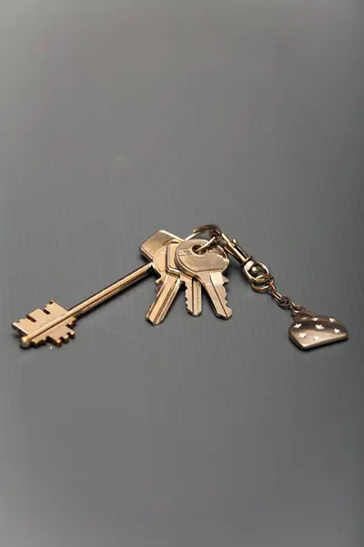 複数の目的で使用するように設計されたキーのリング — ストック写真