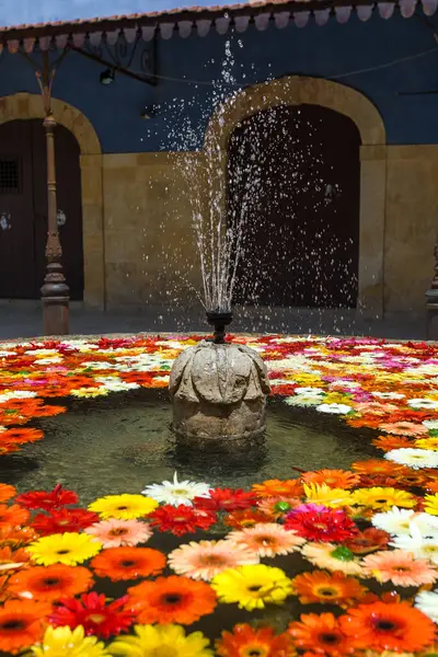 Фон Красочных Ромашковых Цветов Плавающих Воде — стоковое фото