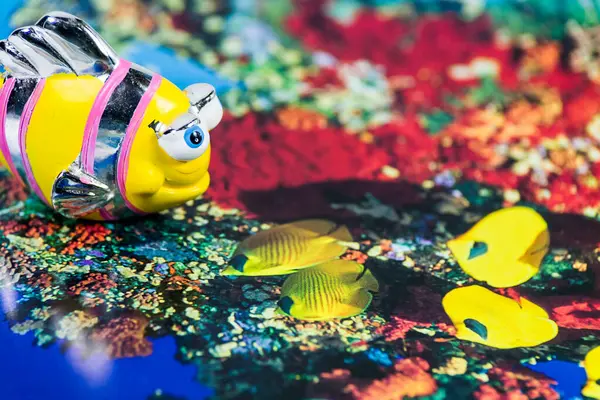 Primo Piano Pesce Strisce Multicolore Con Bulbi Oculari Sporgenti Sulla — Foto Stock