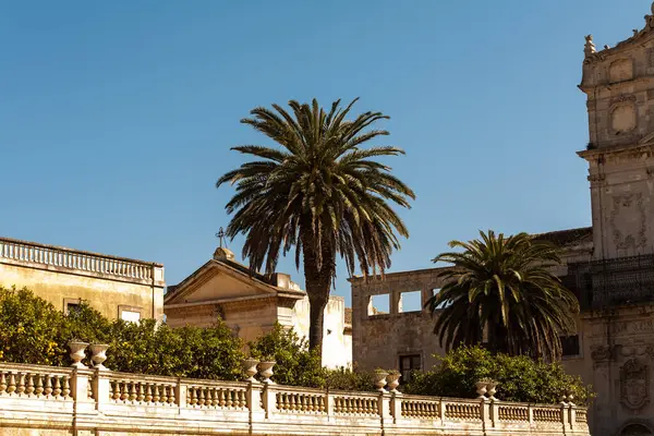 Palms Old Centre Siracusa City — Stock Photo, Image