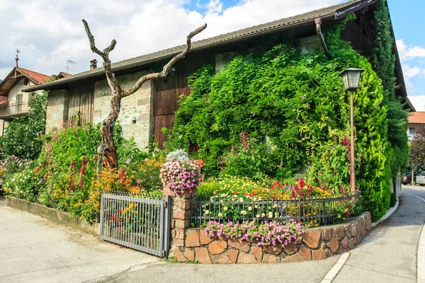 Jardín Creciendo Fuera Casa Urbana Con Pared Ladrillo Acera — Foto de Stock