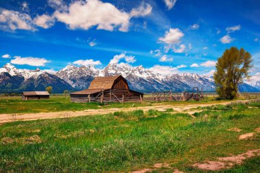 Historic John Moulton Barn at Mormon Row in Grand Teton National Park on a sunny summer day, with snowcapped Teton Mountain Range in the background.
