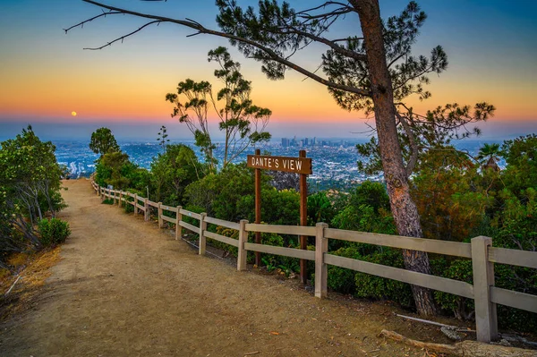 캘리포니아주 그리피스 공원에 다운타운 로스앤젤레스 사진이 찍혔다 — 스톡 사진