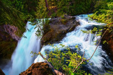 Sahalie Falls on McKenzie River located in the Willamette National Forest, Oregon, with very lush and green surroundings. Long exposure.
