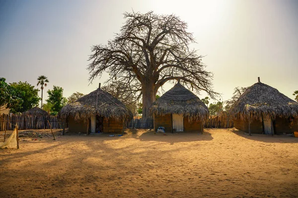 Traditional village houses with a boabab tree in the background in Senegal, Africa. The baobab tree is revered in Senegal, where it is the nations symbol.