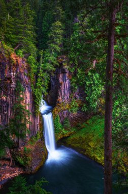 Toketee Falls on the North Umpqua River located in Douglas County, Oregon.