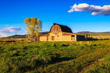 Güneşli bir yaz gününde Grand Teton Ulusal Parkı 'ndaki Mormon Row' da tarihi John Moulton ahırı.