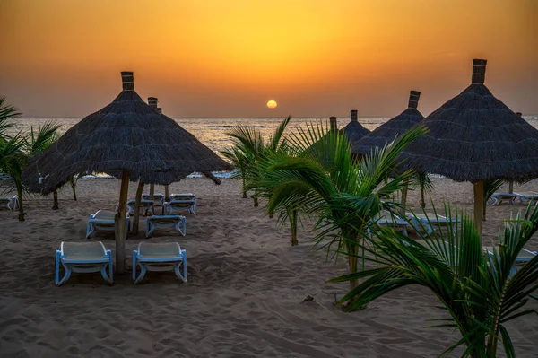 stock image Sunset above Atlantic Ocean and a beach with palm trees, sunshades and sunbeds in Senegal, Africa