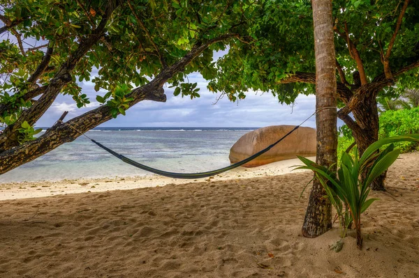 Amaca Presso Spiaggia Anse Source Dargent Isola Digue Seychelles Con — Foto Stock