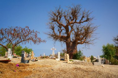 Senegal 'de Baobab ağacı olan Fadiouth Shell Island mezarlığı. Bu mezarlık tamamen deniz kabuklarından yapılmış bir adada inşa edildi..