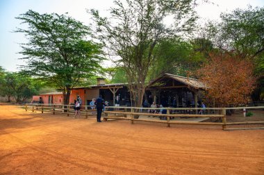 Bandia, Senegal - 26 Şubat 2023: Turistler Senegal 'deki Ranch de Bandia' da aslanları ziyaret etmeye hazırlanıyorlar