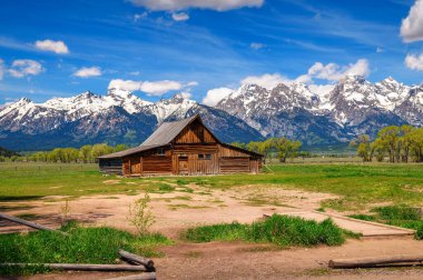 Güneşli bir yaz gününde, Mormon Row, Grand Teton Ulusal Parkı 'ndaki tarihi T.A. Moulton Barn' ın arka planında karlı Teton Dağı Sıradağları ile.