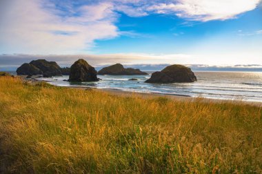 Pasifik Okyanusu ve Meyers Creek Sahili 'nin devasa deniz yığınları, Oregon sahili, ABD