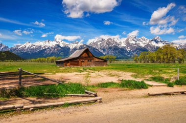 Güneşli bir yaz gününde, Mormon Row, Grand Teton Ulusal Parkı 'ndaki tarihi T.A. Moulton Barn' ın arka planında karlı Teton Dağı Sıradağları ile.
