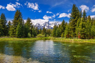 Grand Teton Ulusal Parkı, Wyoming, ABD 'de Snake River ile Schwabacher Landing.