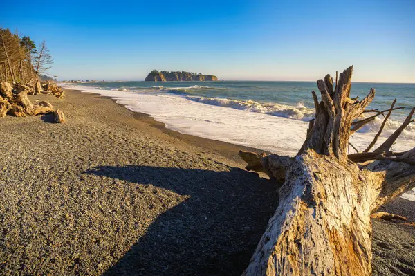 Rialto Beach Avec Bois Flotté Sable Caillouteux Dans État Washington — Photo
