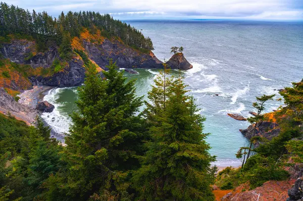 Samuel Boardman State Scenic Corridor Rugged Cliffs Forest Oregon États — Photo