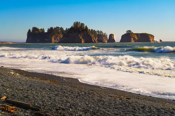 Rialto Beach Avec Des Piles Mer Dans État Washington Rialto — Photo
