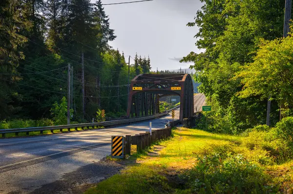 Ponte Aço Enferrujada Cercada Por Vegetação Perto Forks Washington Imagem De Stock