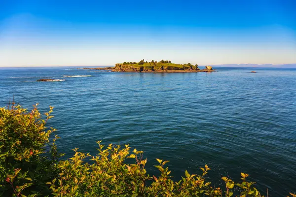 View Tatoosh Island Cape Flattery Observation Deck Washington State Usa Royalty Free Stock Photos