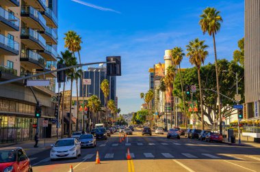 Hollywood, California, ABD - 14 Kasım 2023 Hollywood 'da Sunset Bulvarı' nın güneşli manzarası palmiye ağaçları, arabalar ve caddeyi kaplayan modern binalar.