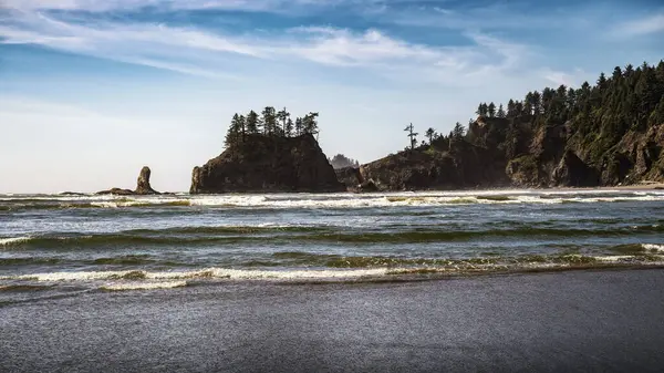 stock image Wide view of La Push, Second Beach with sea stacks, waves, and forested cliffs in Washington State