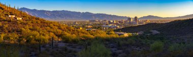 Tucson, Arizona 'nın panoramik manzarası. Şehir merkezindeki binalar çöl manzarası, saguaro kaktüsü ve gün doğumunda Santa Catalina Dağları ile çevrili..