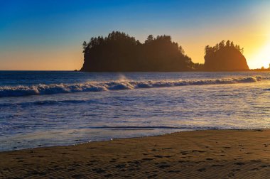 Güneşin siluetli deniz yığınları ve uzak ağaçların ardından batmasıyla, Washington eyaletinin La Push eyaletindeki First Beach 'te kumlu kıyılara dalgalar vuruyor..