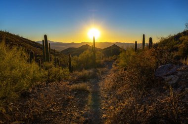 Tucson, Arizona yakınlarındaki Saguaro Ulusal Parkı 'nda saguarolarla King Canyon Trailhead üzerinde gün batımı