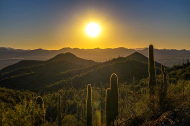 Tucson, Arizona yakınlarındaki Saguaro Ulusal Parkı 'nda saguarolarla King Canyon Trailhead üzerinde gün batımı