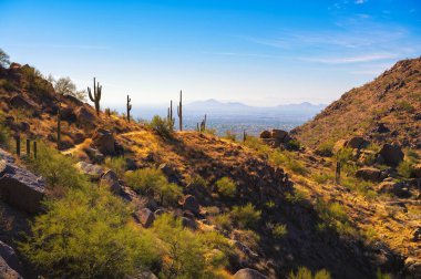 Phoenix, Arizona yakınlarındaki Pinnacle Peak Patikası boyunca uzanan kaktüslü ve kayalık arazili çöl manzarası ve arka planda Scottsdale kenti..