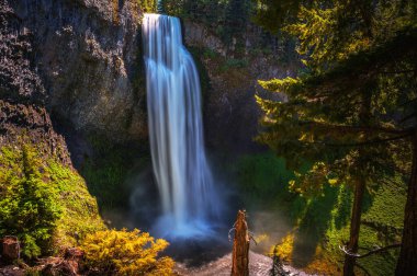 Salt Creek Şelalesi, ABD 'nin Oregon eyaletinin Cascade Range bölgesindeki Willamette Ulusal Ormanı' nda yer almaktadır. Oregon 'daki en yüksek ikinci şelaledir ve 286 feet yüksekliktedir. Uzun pozlama.