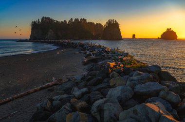 James Adası ve Pasifik Okyanusu 'nun altın gün batımı manzarası Olimpiyat Ulusal Parkı' ndaki La Push First Beach 'ten görüldü..