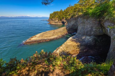 Kayalık kayalıklar ve ormanlık kıyı şeridi Washington 'daki Cape Flattery' de Pasifik Okyanusu ile kesişiyor. Cape Pohpohlama, Amerika Birleşik Devletleri 'nin en kuzeybatı noktasıdır..