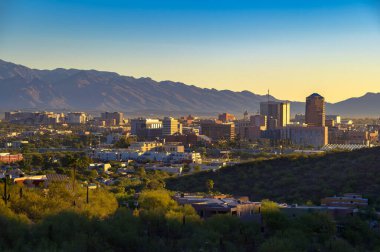Tucson, Arizona şehir merkezinin gündoğumu manzarası, ön planda çöl bitkileri ve arka planda Santa Catalina Dağları..