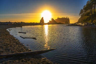 Washington eyaletinin başkenti Olympic National Park 'ta deniz yığınları ve sürüklenen dallarla Ruby Beach' teki suya renkli günbatımı yansıyor.