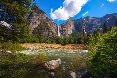 Yosemite Vadisi 'ne dökülen BridalVeil Şelalesi Merced Nehri ile birlikte Yosemite Ulusal Parkı, Kaliforniya.
