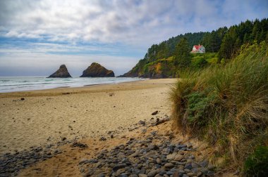 Oregon kıyısındaki Heceta Head yakınlarında deniz yığınları ve orman kayalıkları olan Burun Koyu 'nun kumlu ve kayalık kıyı şeridi..