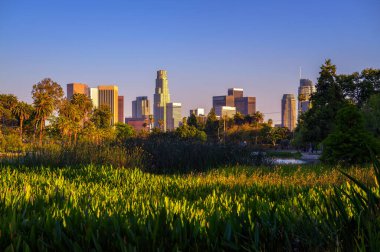 Los Angeles şehir merkezinin gün batımı manzarası Echo Park 'tan ön planda yeşillik ve palmiye ağaçları ile görülebiliyor..
