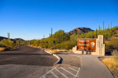 Tucson, Arizona, ABD - 07 Kasım 2023: Saguaro Ulusal Parkı giriş tabelası asfalt yol Arizona 'da çöl bitkileri ve uzun kaktüslerle çevrili