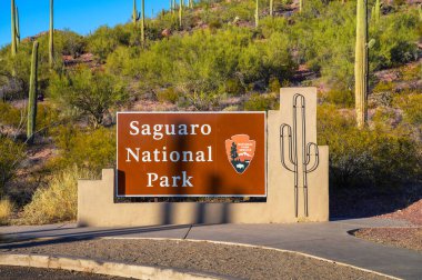 Tucson, Arizona, USA - November 07, 2023 : Saguaro National Park entrance sign surrounded by desert vegetation and tall cacti in Arizona