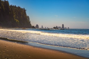 Washington 'daki Olimpiyat Ulusal Parkı' nda güneşli bir günde La Push Üçüncü Sahili 'ndeki pek çok deniz yığını ve orman kayalıklarının kıyı manzarası.