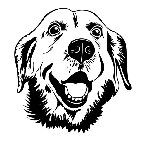 stock vector Golden Retriever Dog Breed. Black and White Vector Illustration of Head of Labrador