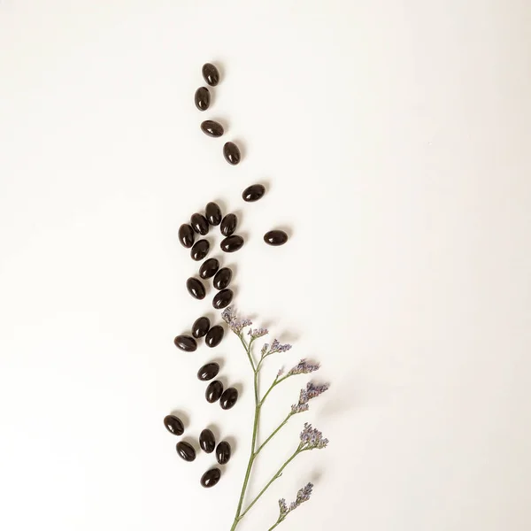 Черные Таблетки Растением Белом Фоне Медицина Здоровье Красота Место Смс — стоковое фото