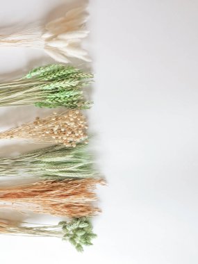 Pembe, yeşil ve beyaz çiçeklerin düzeni. Üst Manzara. Mesajlaşmak için bir yer. Beyaz arka plan. Çiçekçi, güzellik ve bahar kartı konsepti. Estetik. Yüksek kalite fotoğraf