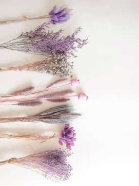 Menekşe çiçeklerinin düzeni. Üst Manzara. Mesajlaşmak için bir yer. Beyaz arka plan. Çiçekçi, güzellik ve bahar kartı konsepti. Estetik. Yüksek kalite fotoğraf