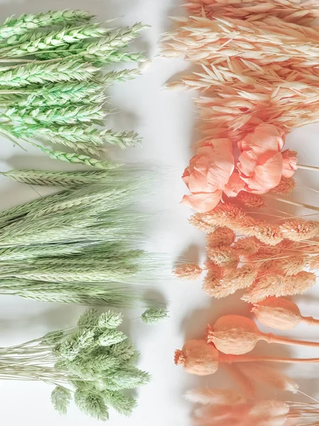 Pembe ve yeşil çiçeklerin düzeni. Üst Manzara. Mesajlaşmak için bir yer. Çiçekçi konsepti, güzellik. Estetik. Yüksek kalite fotoğraf